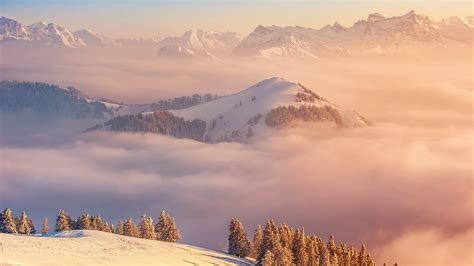Slovakia 4k Mountains Fog Pines Snow Hd Wallpaper