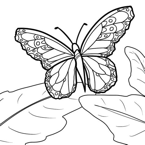 A butterfly's silhouette outlined with a flower pattern. Monarch butterfly Coloring Pages to Print | Free Coloring ...