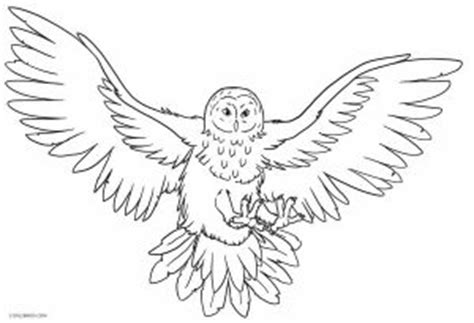 Complex owl coloring pages for adults. Free Printable Owl Coloring Pages For Kids | Cool2bKids
