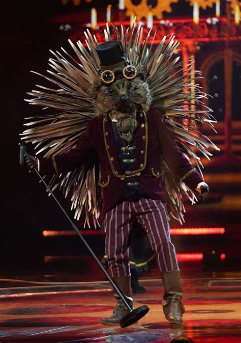Who are hedgehog, queen bee and the other contestants? The Masked Singer fans expose Hedgehog's identity after ...