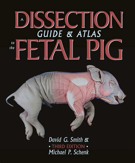 A Dissection Guide And Atlas To The Fetal Pig Ebook Shopbooknow