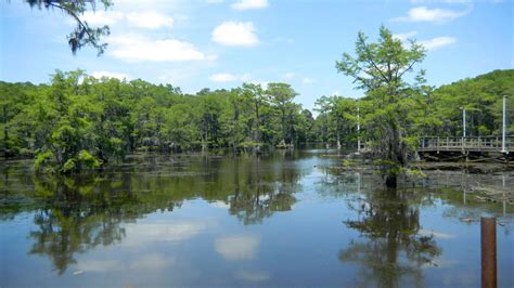 The Louisiana Lakes And Rivers Map A Bayou Voyage