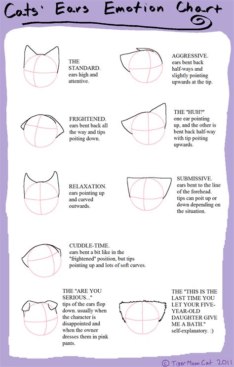 the instructions for how to draw cats ears