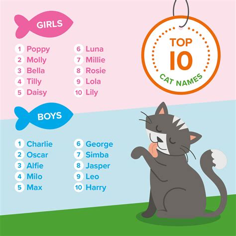 Best Ideas For Coloring Cat Girl Names