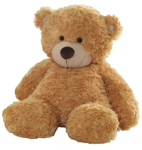 Popular Flower Categories Gifts Teddy Bear