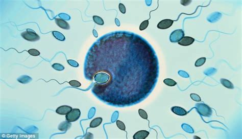 Male Fertility Crisis Fears As Sperm Counts Fall And Scientists