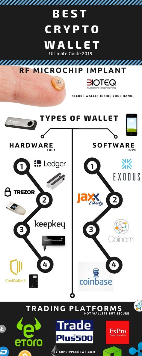 Bitcoin, bitcoin cash, ethereum, zcash, and dash. best cryptocurrency wallet infographic | Best ...