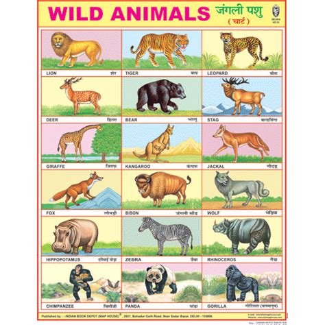 Buy Wild Animals Picture Chart Paper At Aamantran Stores Jaipur
