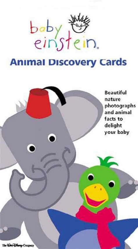 Baby Einstein Animal Discovery Cards купить в интернет магазине