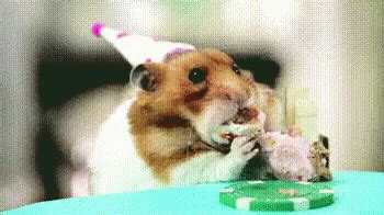 Happy birthday fire gif find share on giphy. Flaming Birthday Cake GIFs | Tenor
