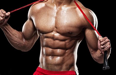 Bodybuilding Six Pack Abs Workout Abdomnial Muscle Anatomy