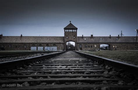 Niemcy Odkryto Szczątki Ofiar Josefa Mengele