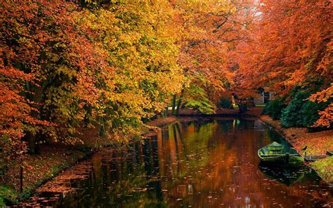River Tree Autumn Lake Water Forest Landscape Wallpaper 1600x1000