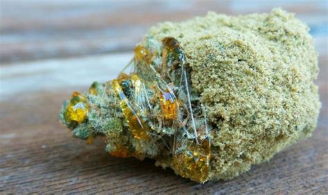 Cannabis Caviar The Most Expensive Strain In The Wworld