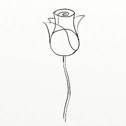 Există peste o sută cincizeci de specii și mii de soiuri. Cum se deseneaza un trandafir. - By Oana