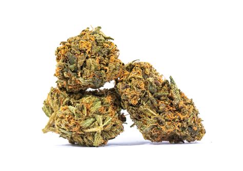 Buy Blue Cheese Strain Get Kush Get Free Ts With All Orders