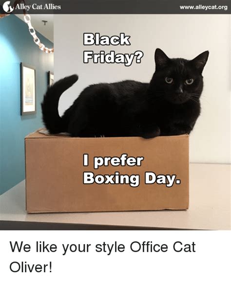 Who Says Cats Arent Useful Office Cat Works Hard Meme