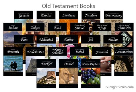 Old Testament Set Of Bible Books 36 Books In 25 Volumes Sunlight Bibles