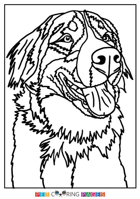 Bernese Mountain Dog Coloring Page | Crafts | Pinterest