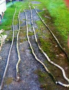 Craigslist Excavators Digging Deep For The Best Craigslist Finds In The Rgv