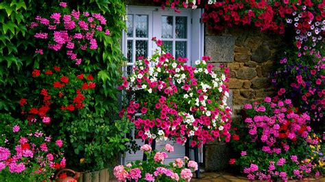 25 Best Design Ideas For Outdoor Landscape Flowers Home Decoration