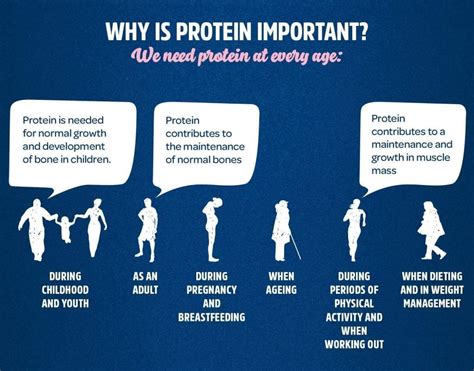 Biological Value Of Proteins How Well Are Proteins Digested
