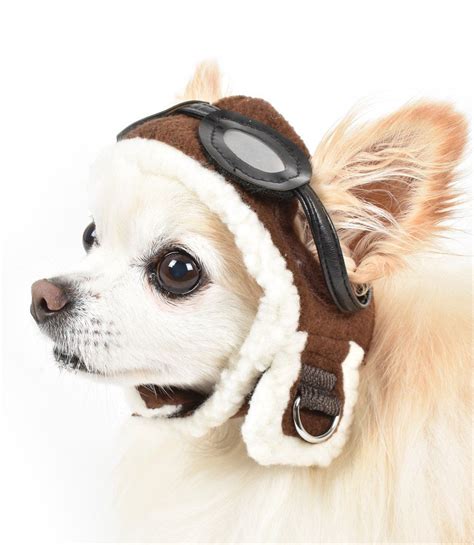 Aviator Hat For Small Dogs Smalldog Aviator Hat