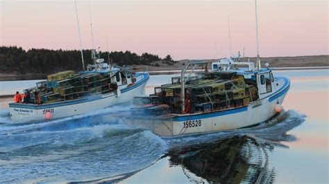 Lobster Fishing Season Begins In Northern Nova Scotia Cbc News