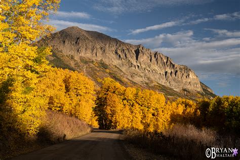 Gothic Mountain Road Fall Colors Crested Butte Colorado Nature