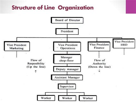 Types Of Organisation Ppt Download