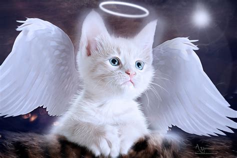 Angel Cat By Annemaria48 On Deviantart