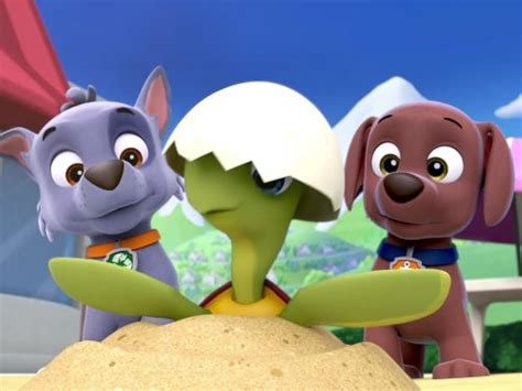 Paw Patrol Pups Save The Sea Turtlespups And The Very Big Baby Tv