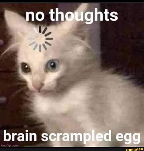 No Thoughts Brain Scrampled Egg Ifunny