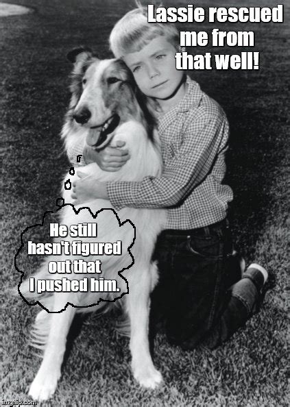 Lassie Memes And S Imgflip