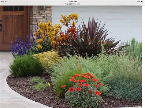 Drought Tolerant Plants For Your Home Garden