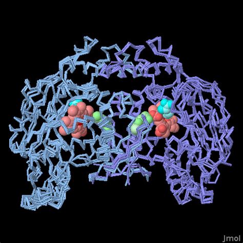 Pdb Molecule Of The Month Nitric Oxide Synthase