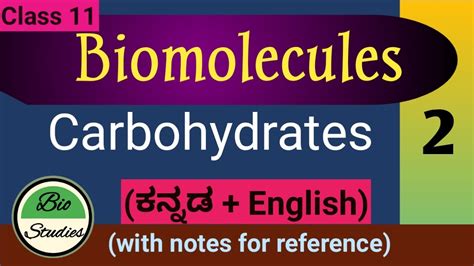 Class 11 Biomolecules 2 Carbohydrates Youtube
