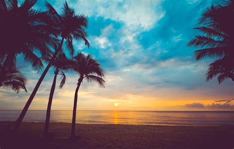 Wallpaper Sand Sea Beach Summer The Sky Sunset Palm Trees Shore