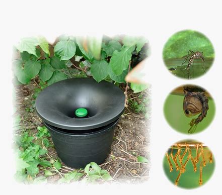 Imperial pest prevention is the number one pest control companies serving be daytona beach and its surrounding greater areas. IN2Care Mosquito Trapping | San Antonio, TX | Spider Man ...