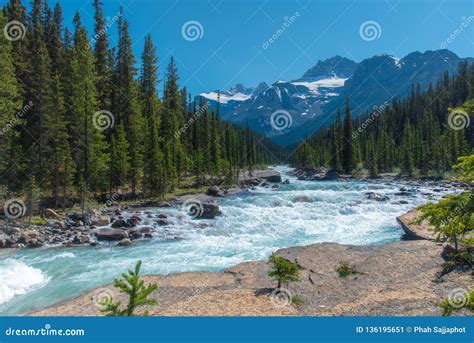 Canada Forest Landscape With Big Mountain In The Background And The