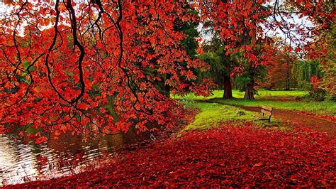 1920x1080px 1080p Free Download Beautiful Autumn Scenery Nature