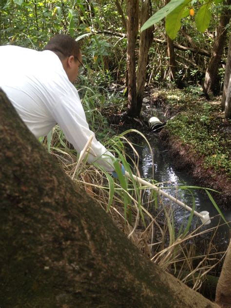 Pin By Mayra Rolon On Caño Martín Peña Usc