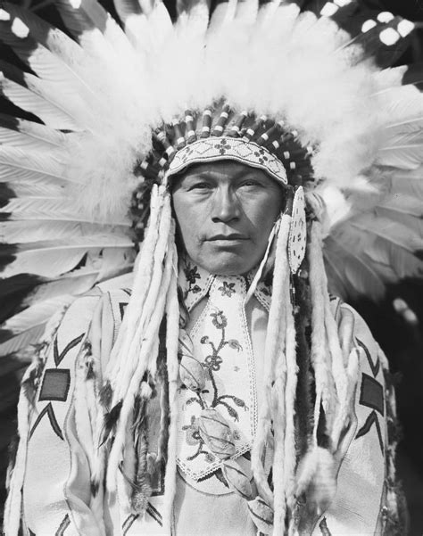 Portrait Of Wolfe Teeth Of Nakoda Nation Native American Tribes