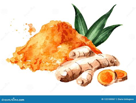 Turmeric Root Green Leaf And Powder Watercolor Hand Drawn