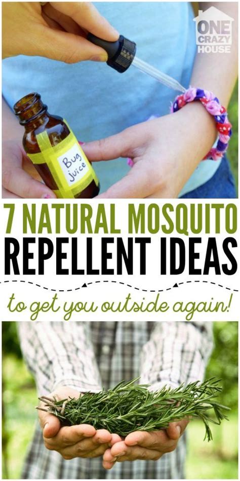 7 Natural Mosquito Repellent Ideas So You Can Enjoy Being Outside