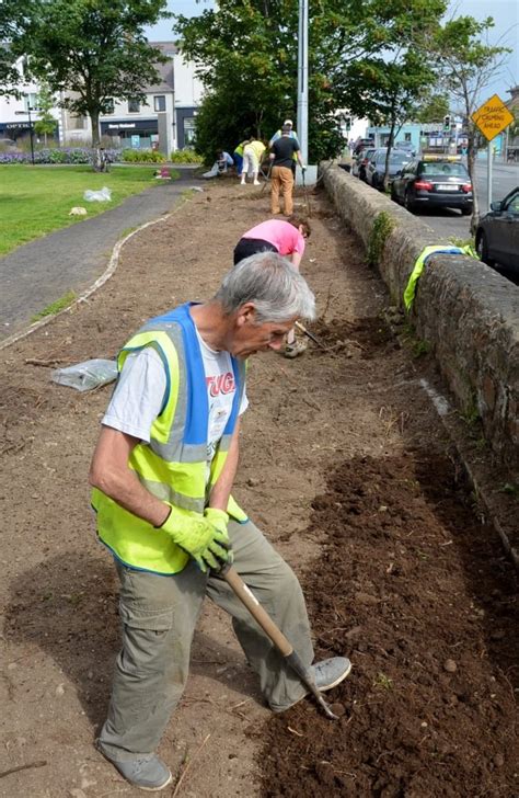 The Greystones Guide Tidy Towns Dig Up Some Gold