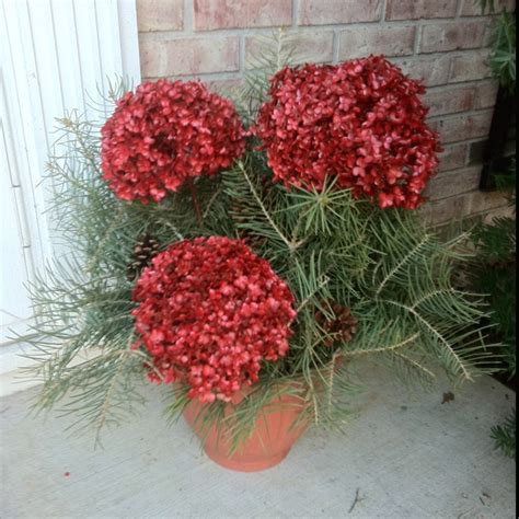 Christmas in germany is our florist holidays and therefore we highly suggested that all orders must arrive at least 48 hours earlier before christmas holidays (25th and 26th december). Dried hydrangea flower + spray paint! | Dried flower ...