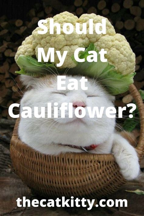 People with thyroid problems should not eat cabbage, brussel sprouts, broccoli, cauliflower and other cruciferous vegetables raw. CAN CATS EAT CAULIFLOWER? in 2020 | Healthy cat food, Cats ...