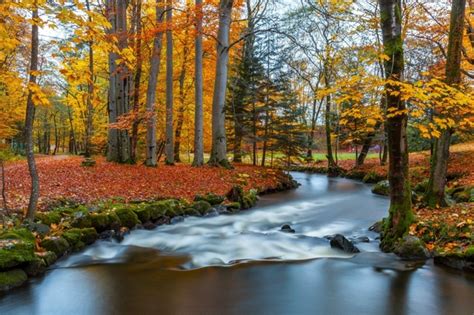 Autumn Colors In Norway Photorator