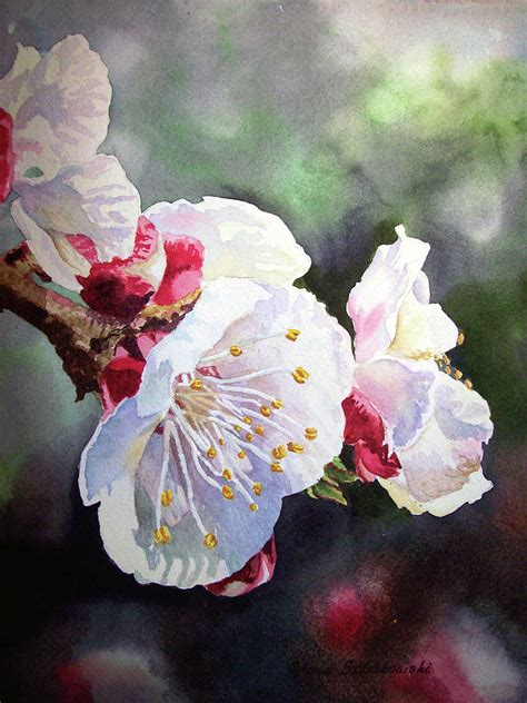 Apricot Flowers Painting By Irina Sztukowski